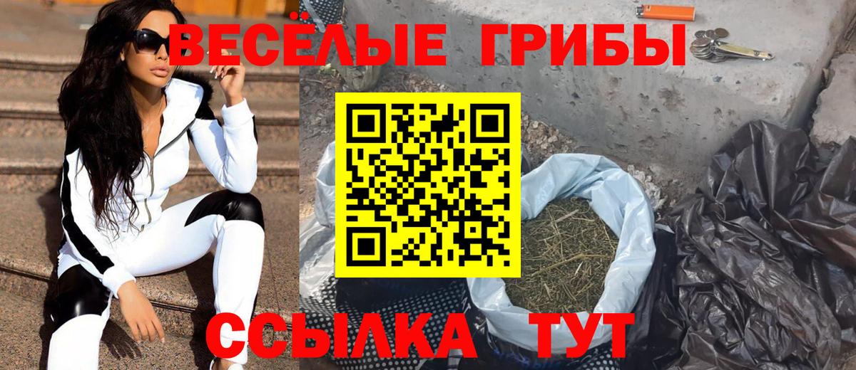 Изобильный  Галлюциногенные грибы мицелий  Вход с VPN  Псилоцибиновые грибы GOLDEN TEACHER 