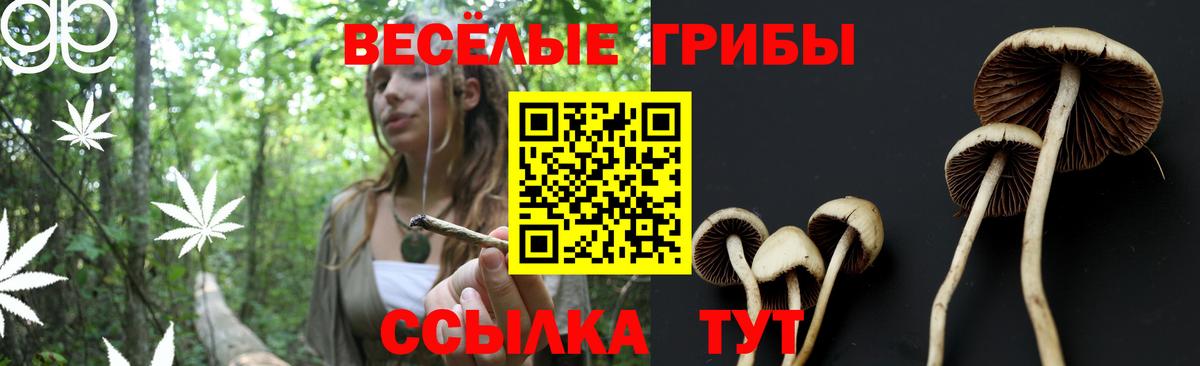 Галлюциногенные грибы Magic Shrooms Изобильный