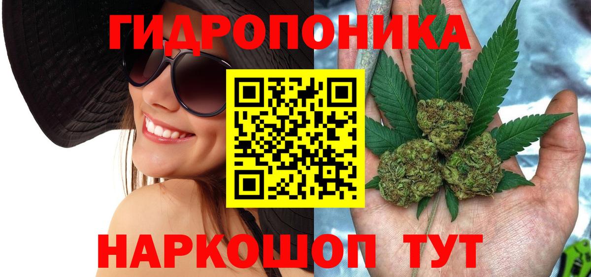 Каннабис OG Kush Изобильный
